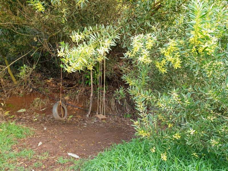 Foto 4