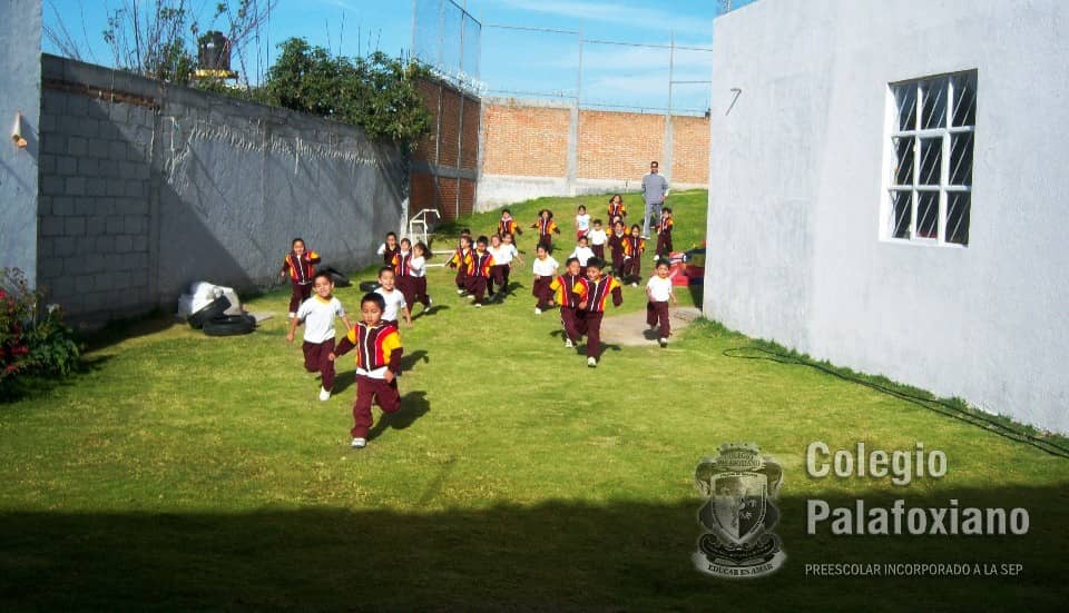 Foto 6