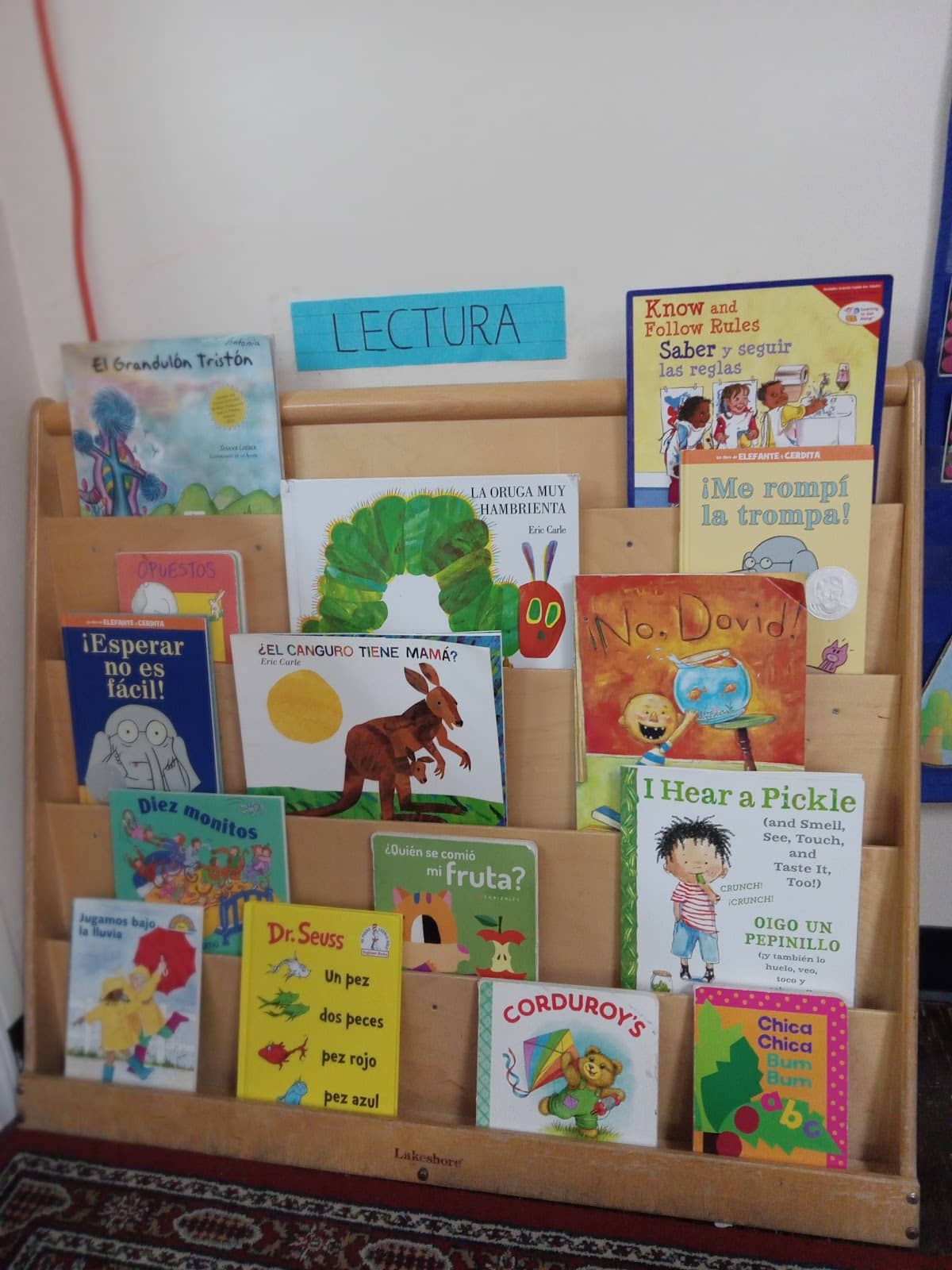 Foto 5