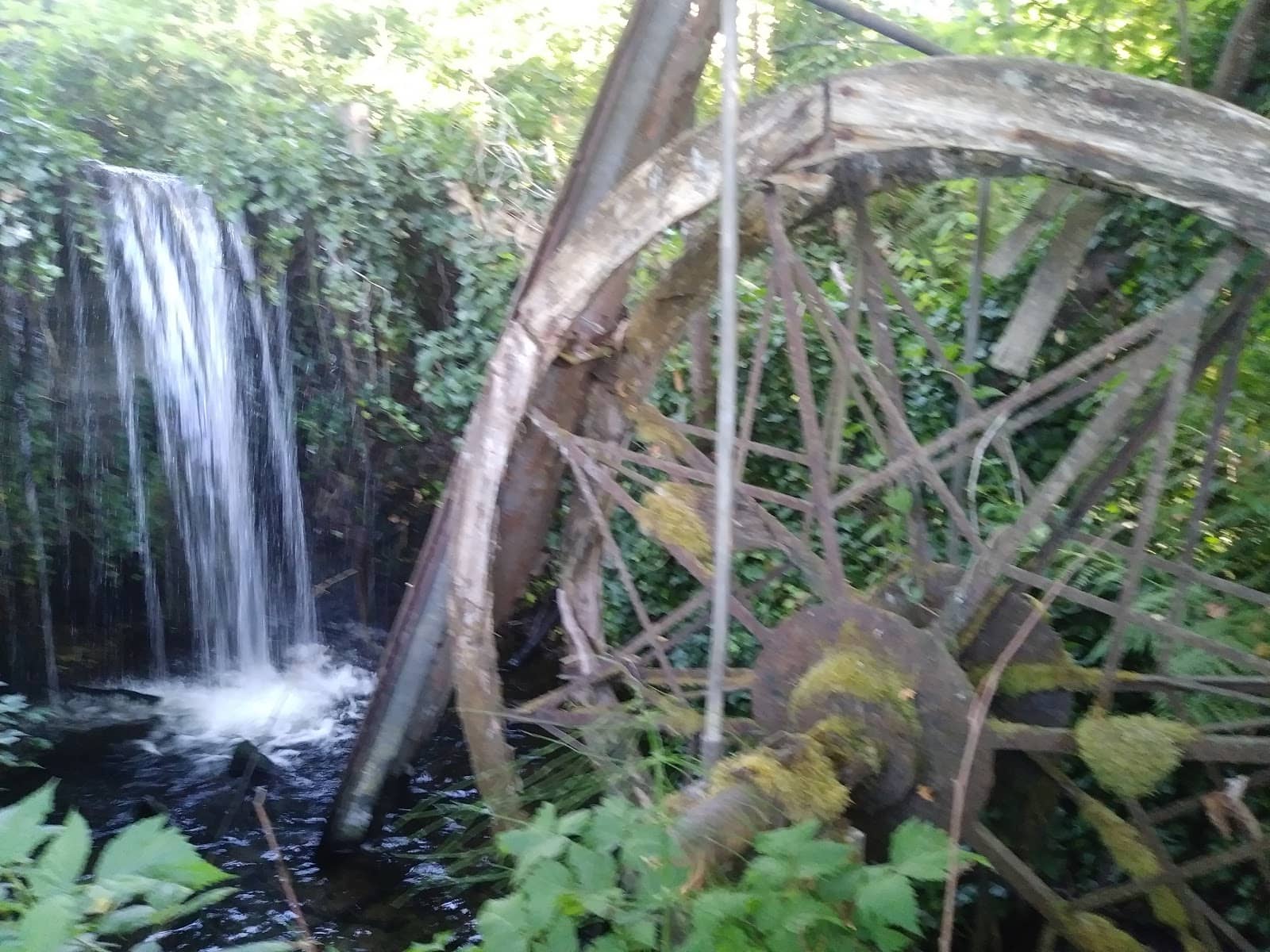 Foto 5