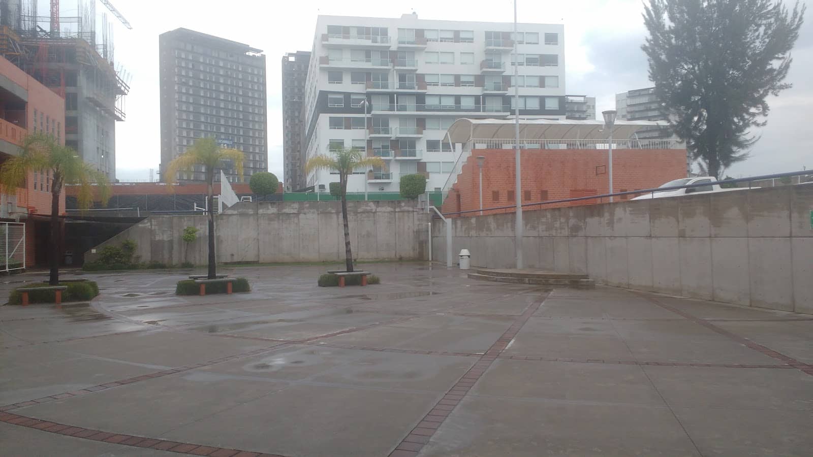 Photo 5
