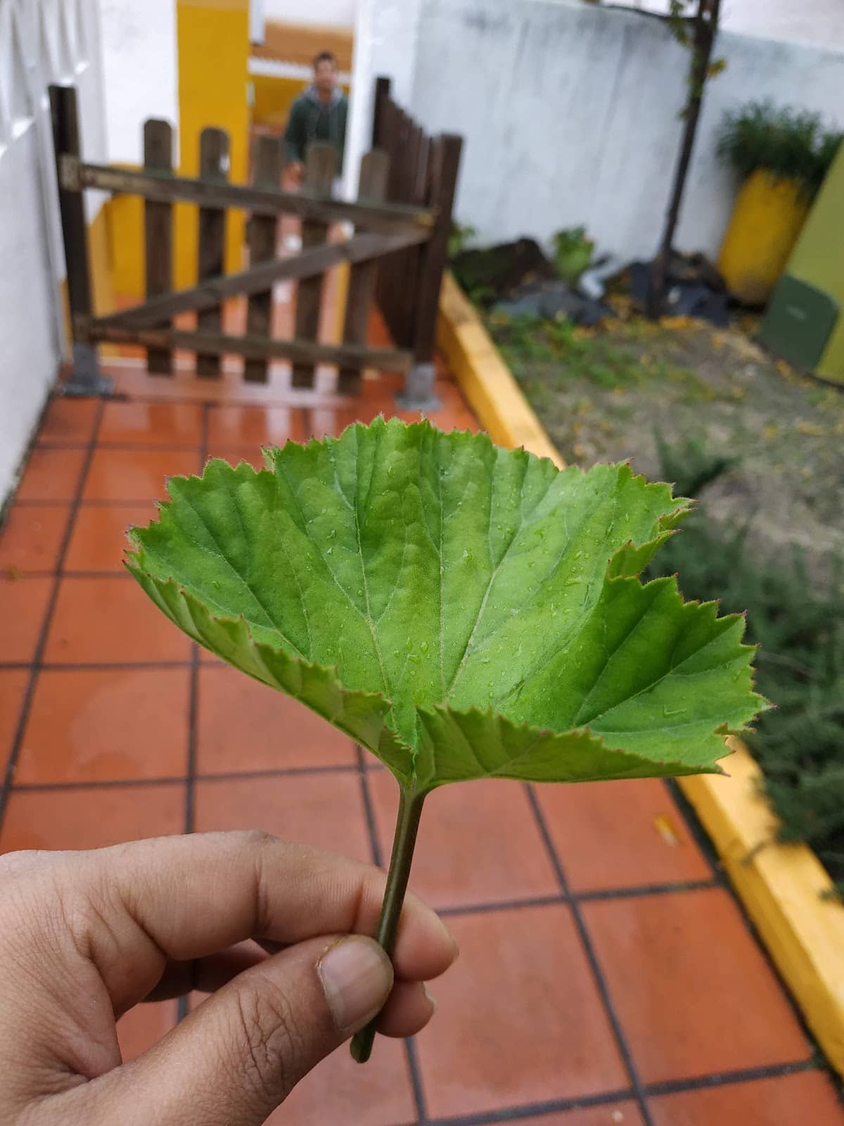 Foto 1
