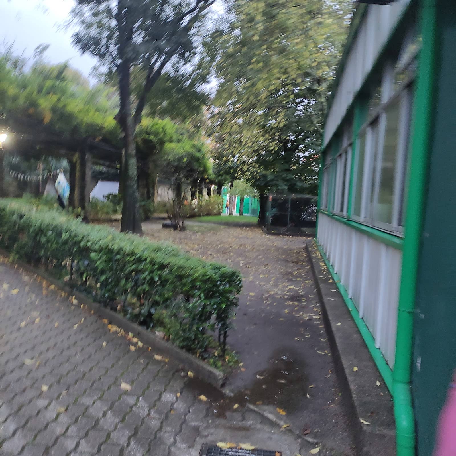 Foto 5