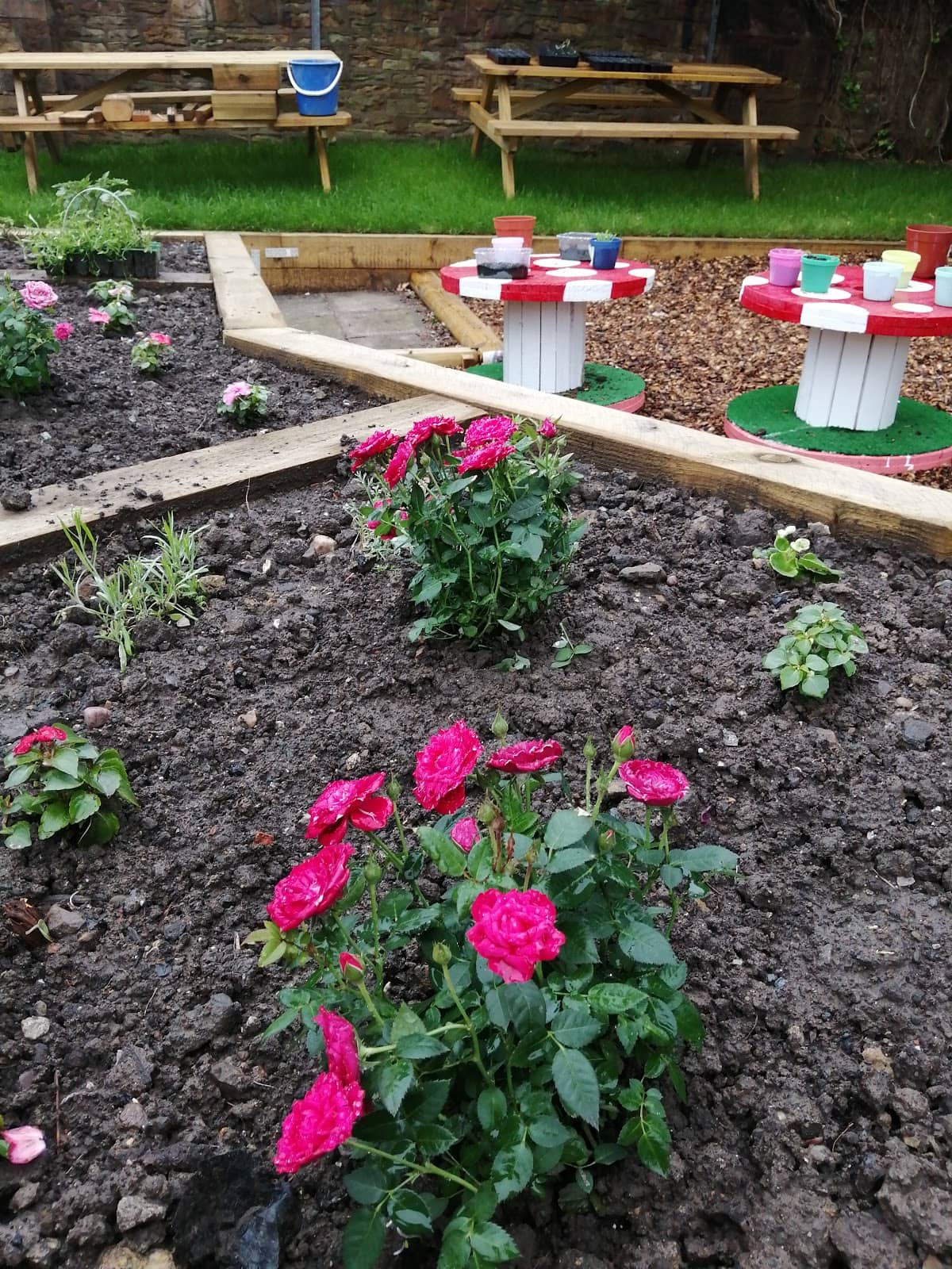 Photo 6