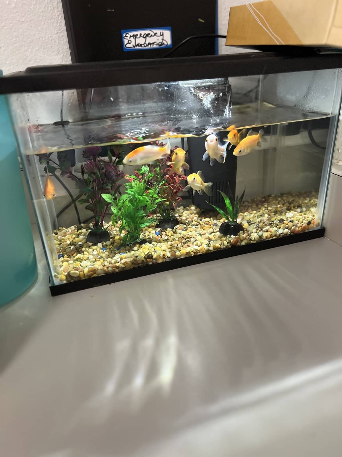 Foto 10