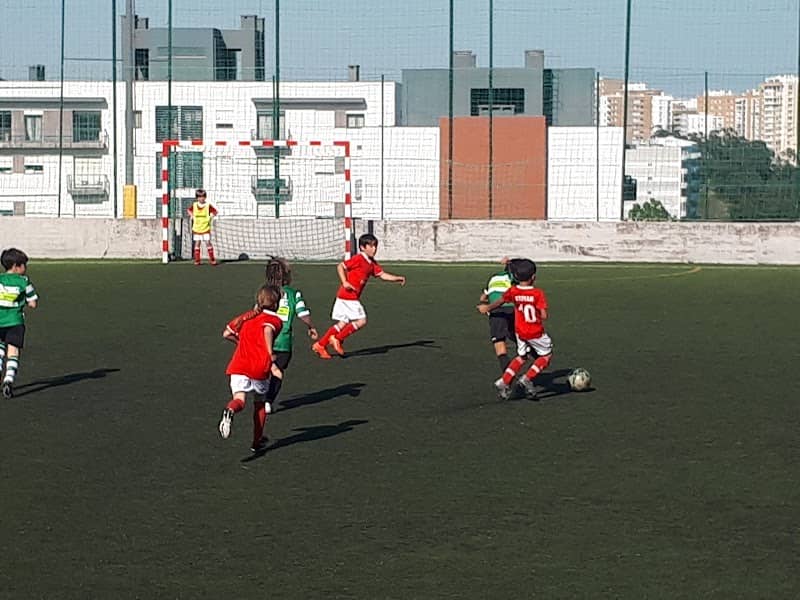 Foto 5