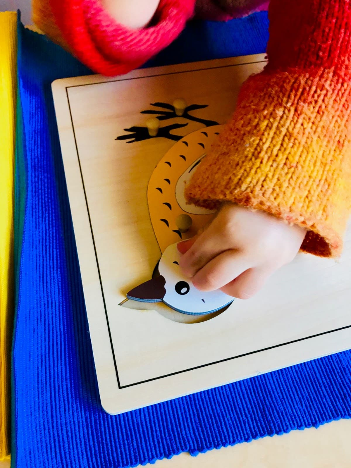 Whimsy and Wonder Preschool