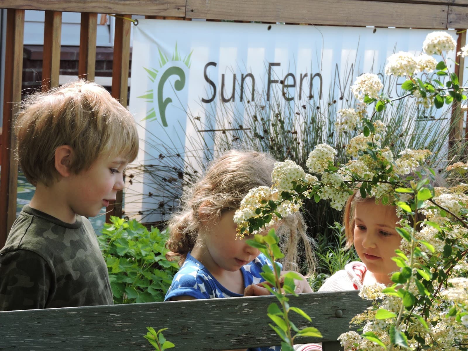 Sun Fern Montessori Children's House