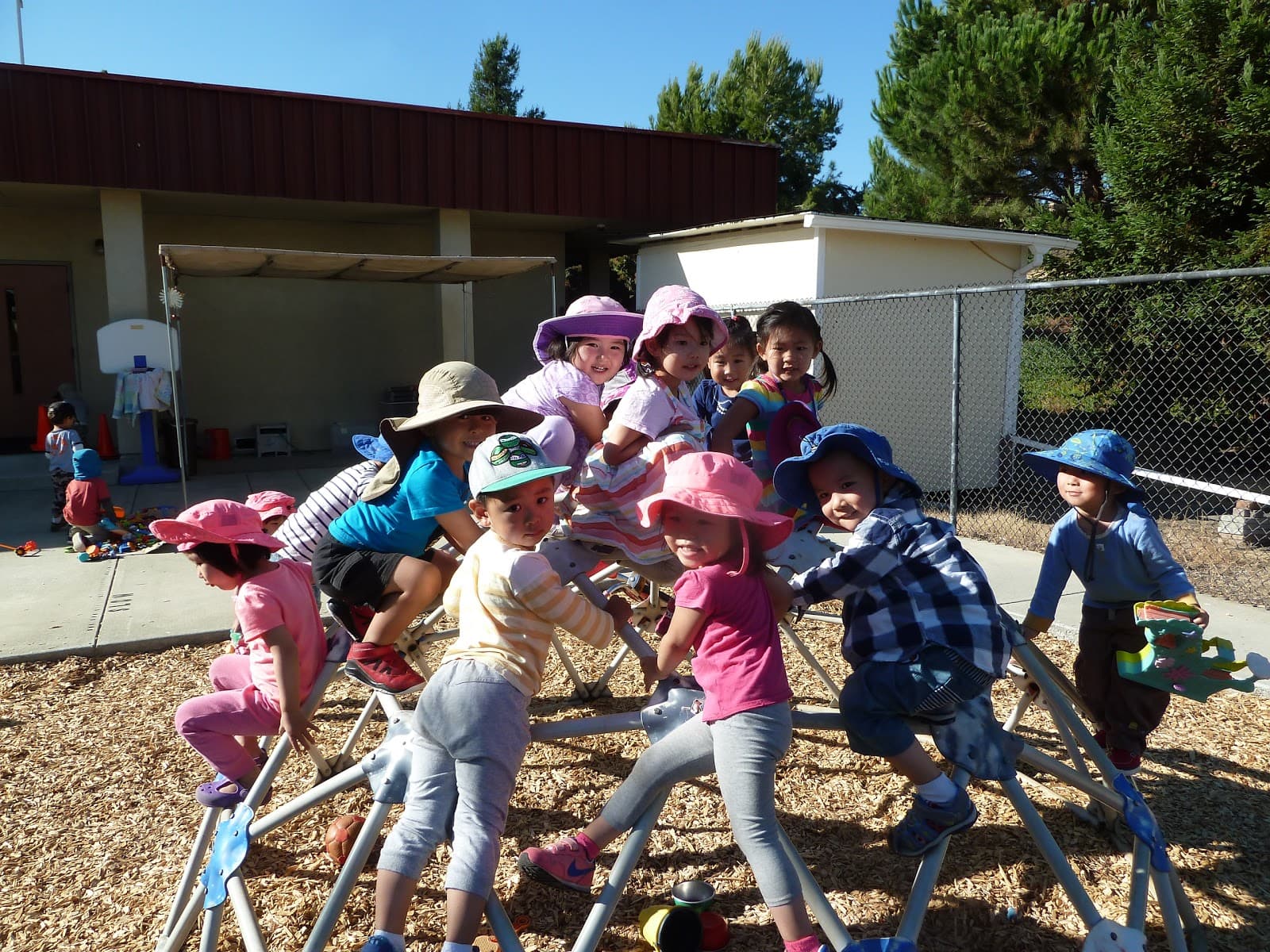 Sunshine School
