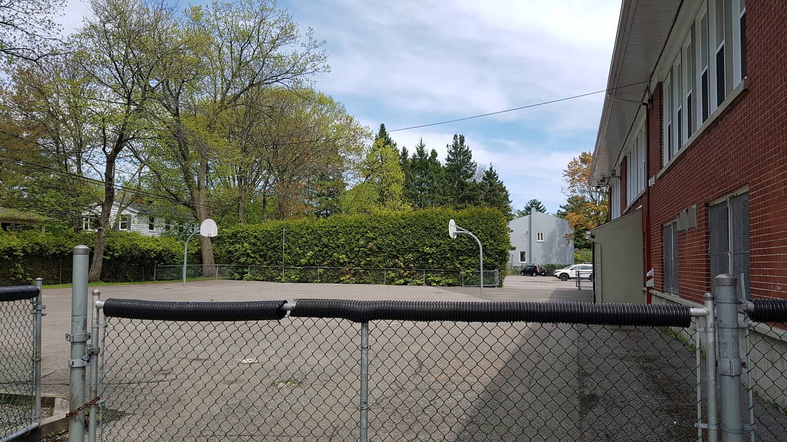 Photo 6