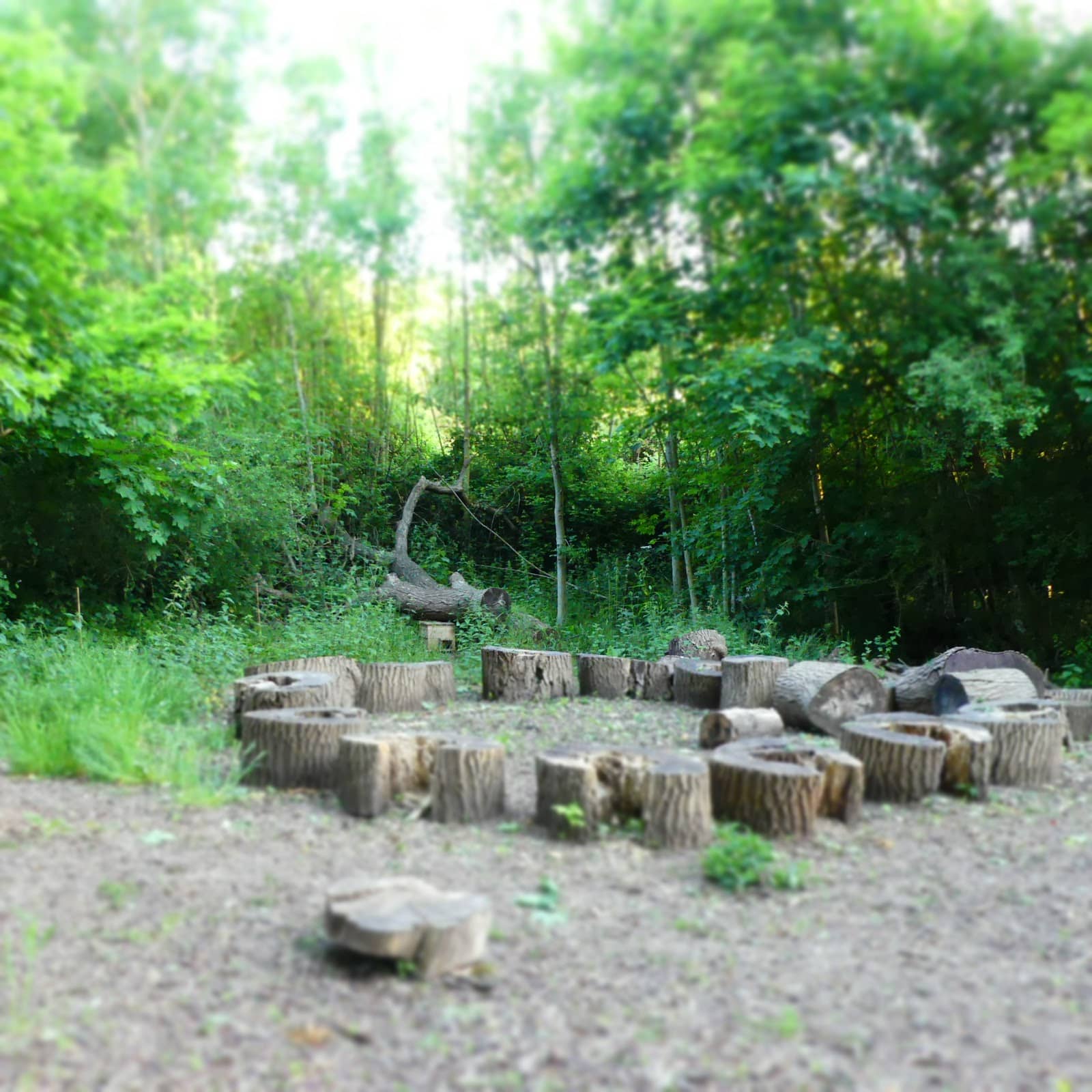 Photo 6
