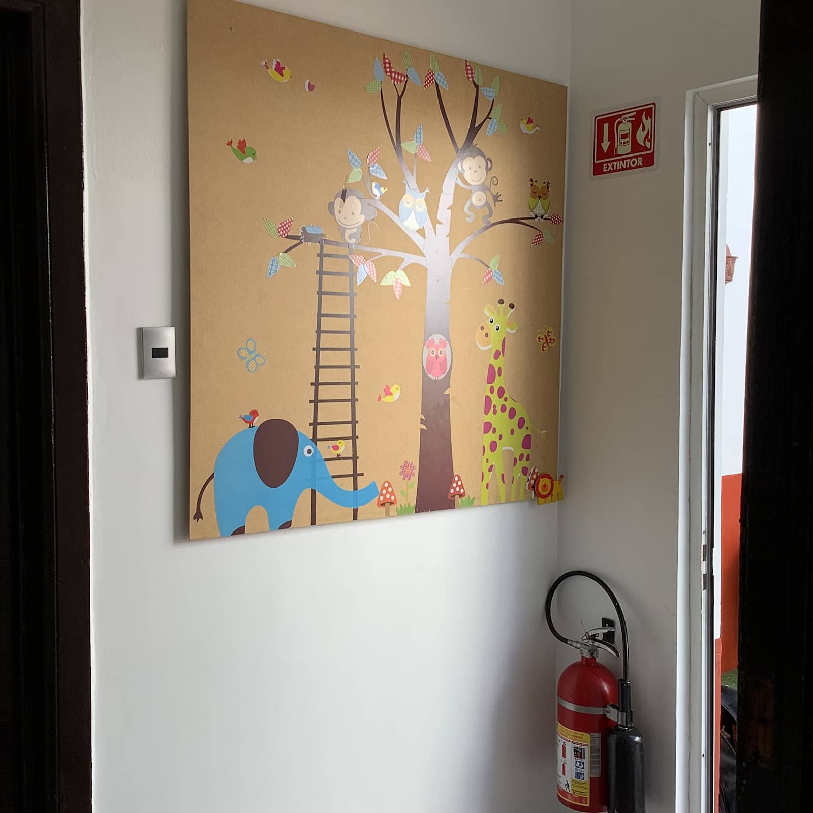 Foto 7