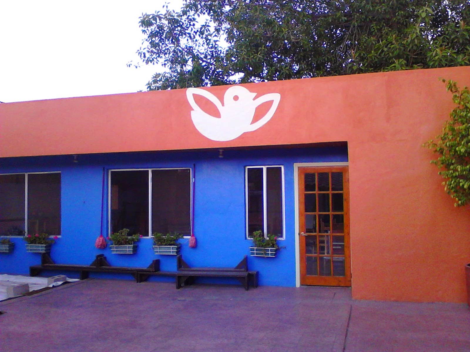 Foto 2