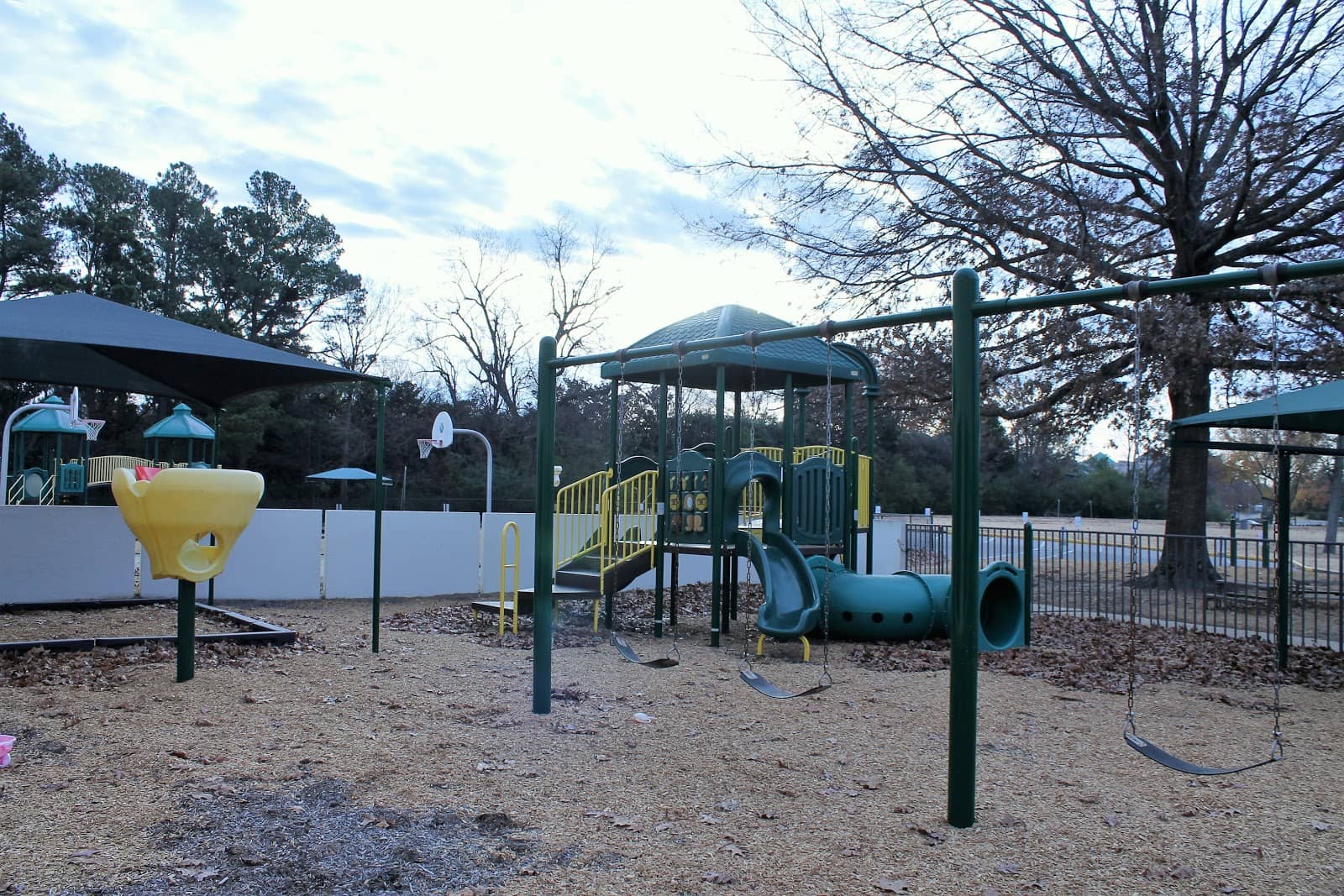 Photo 5