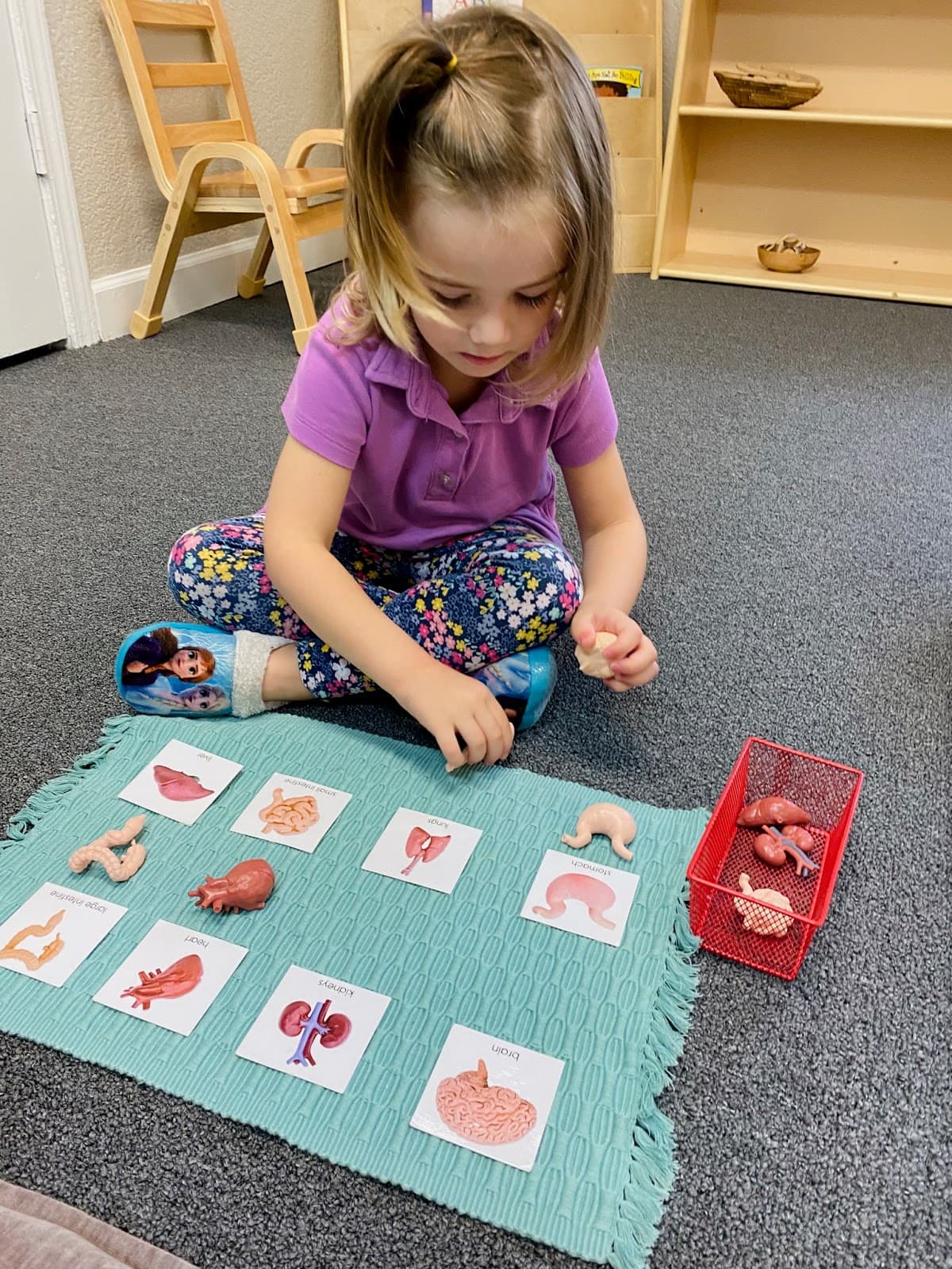 Montessori Schoolhouse