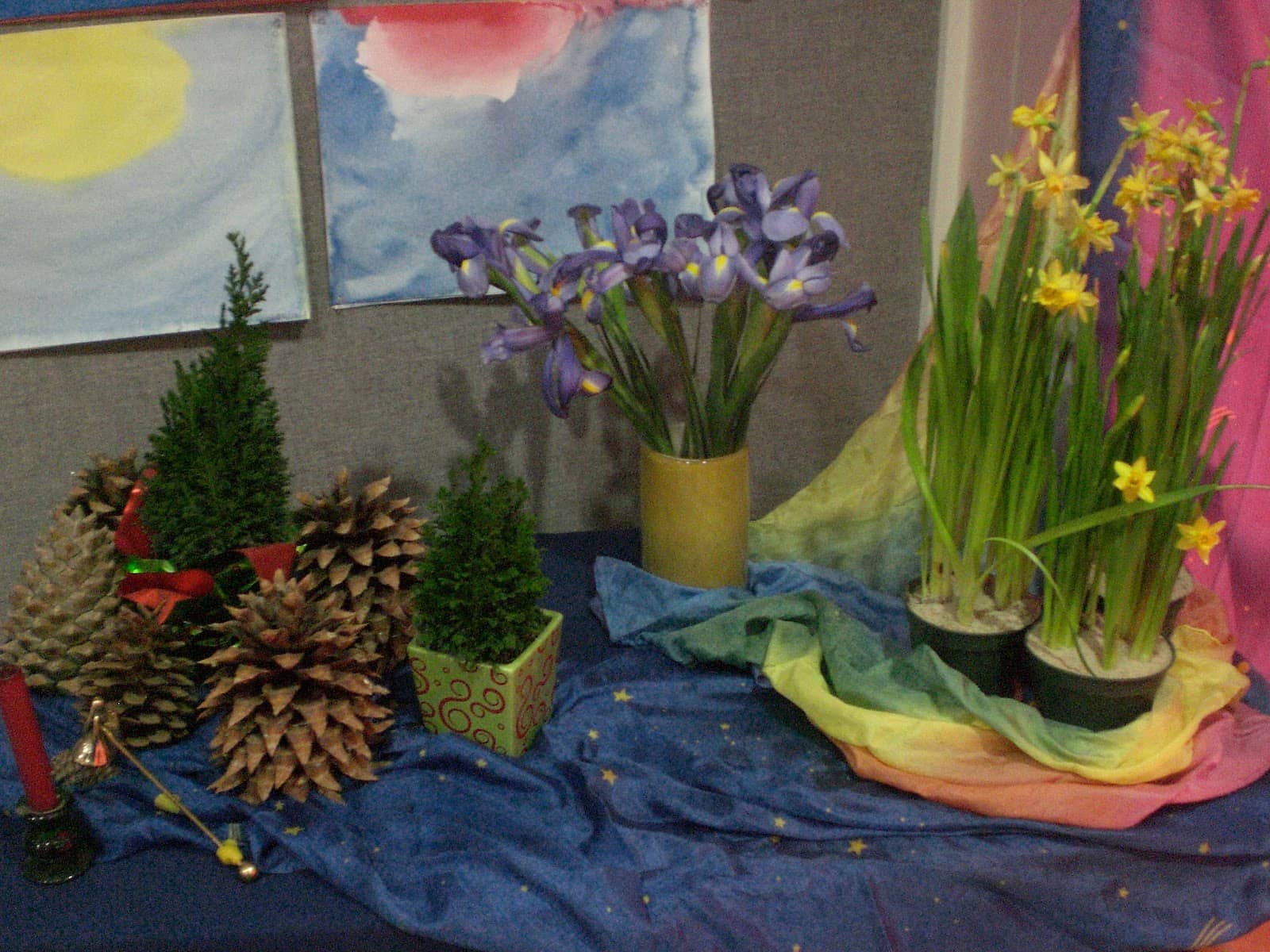 Photo 5