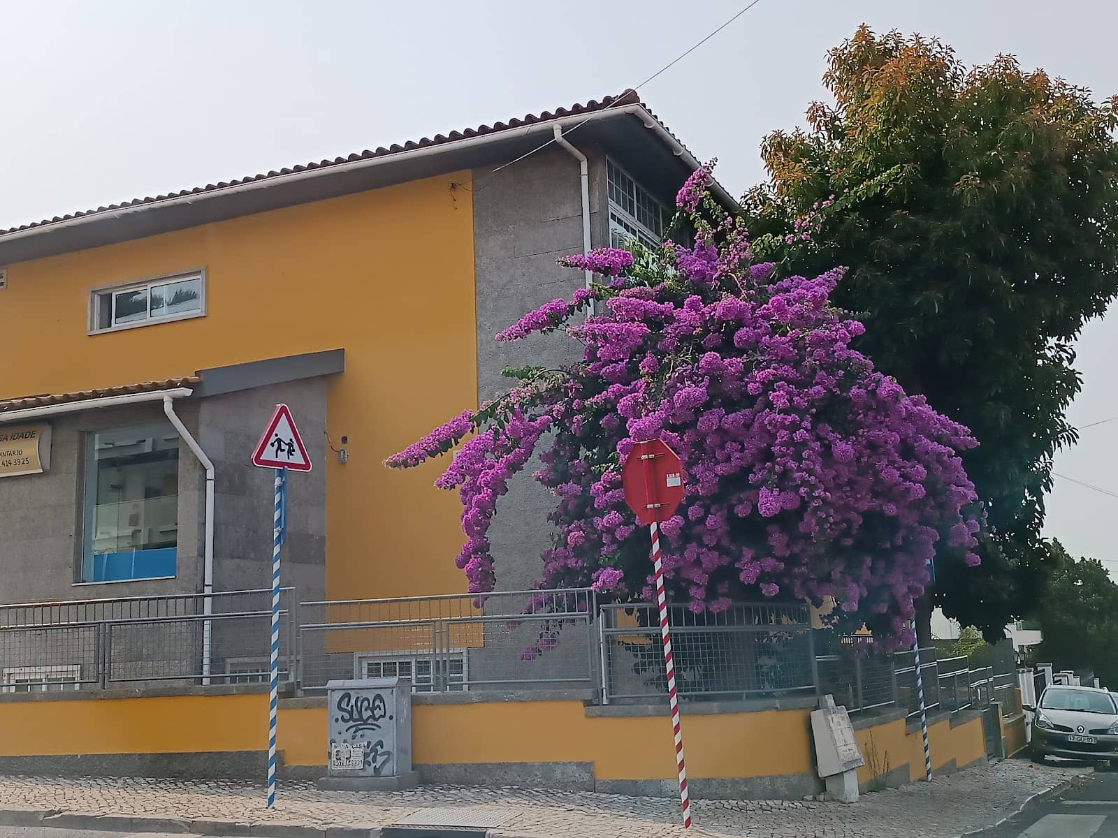 Foto 1