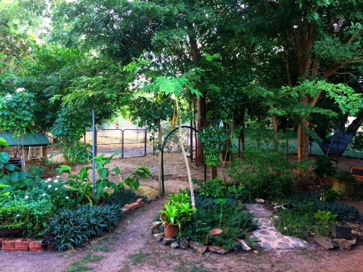 Photo 5