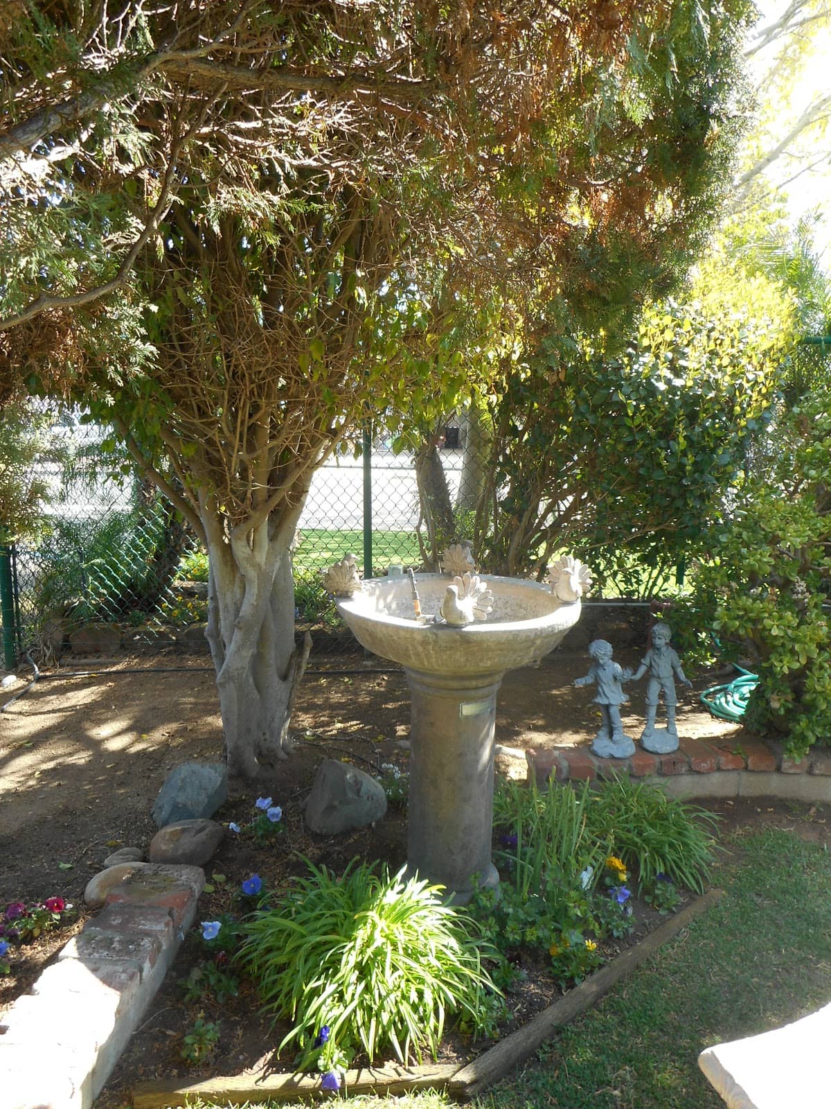 Photo 10