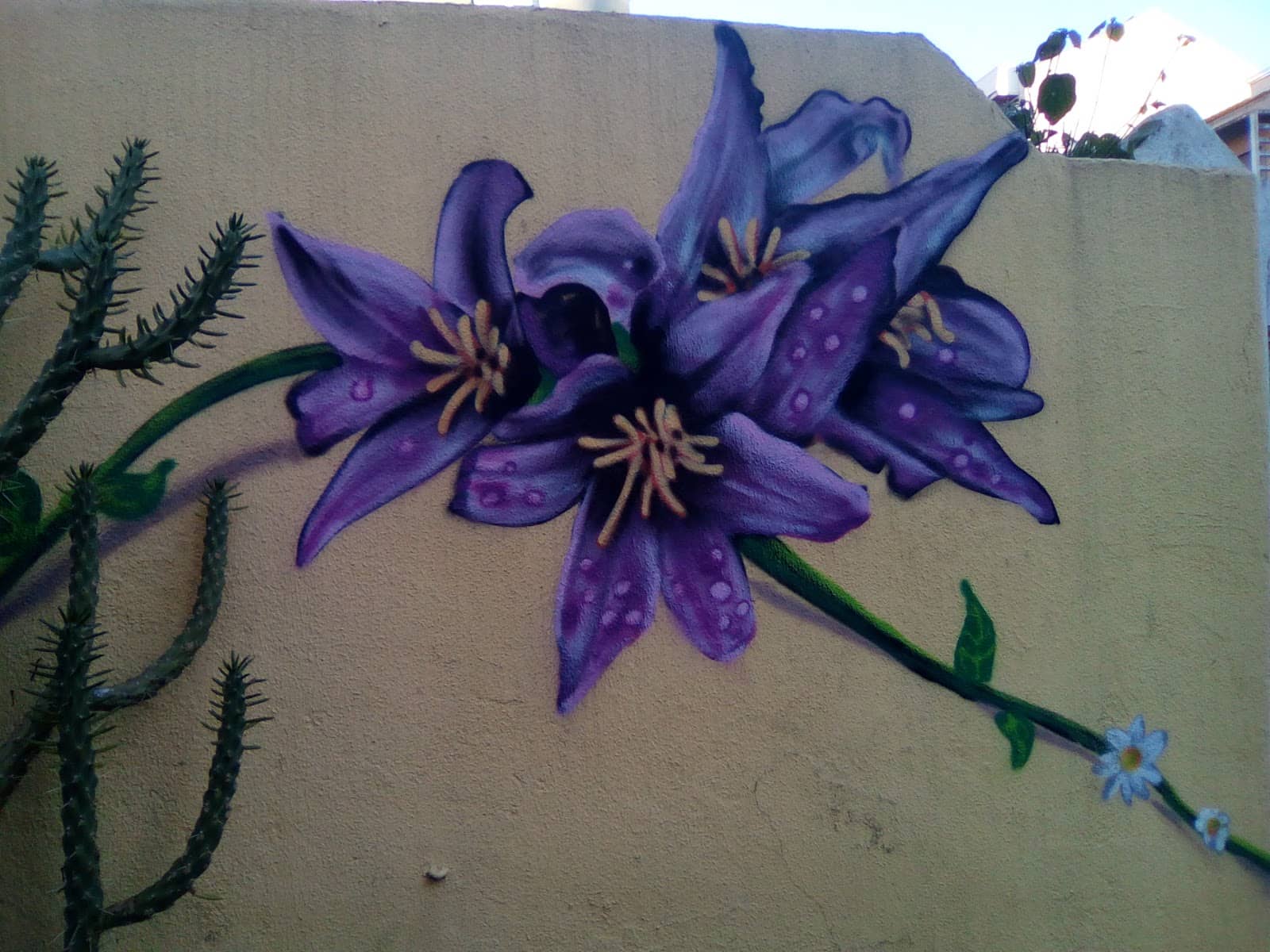 Фото 4